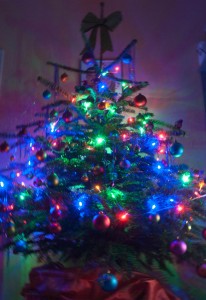 Weihnachtsbaum von Frankies-World.de